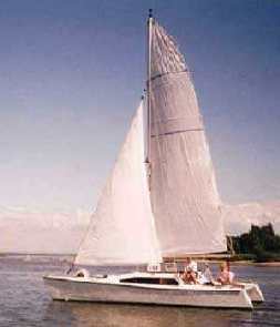 Canadian merlin under sail