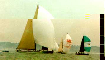 Aqua Quorum being dwarfed