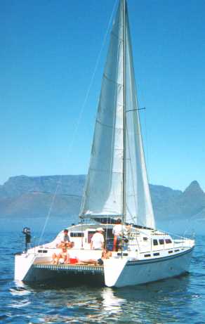 S African Flica
