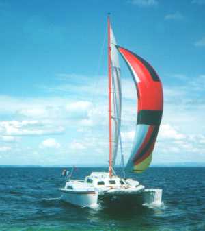 sailing under spinnaker