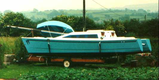 Welsh Strider on a trailer