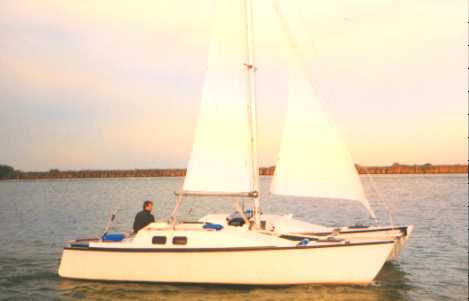 Image of surfdutch3.jpg