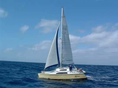 catamaran capsize isle of wight